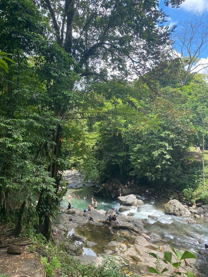 Coati Del Arenal Posada La Fortuna ภายนอก รูปภาพ