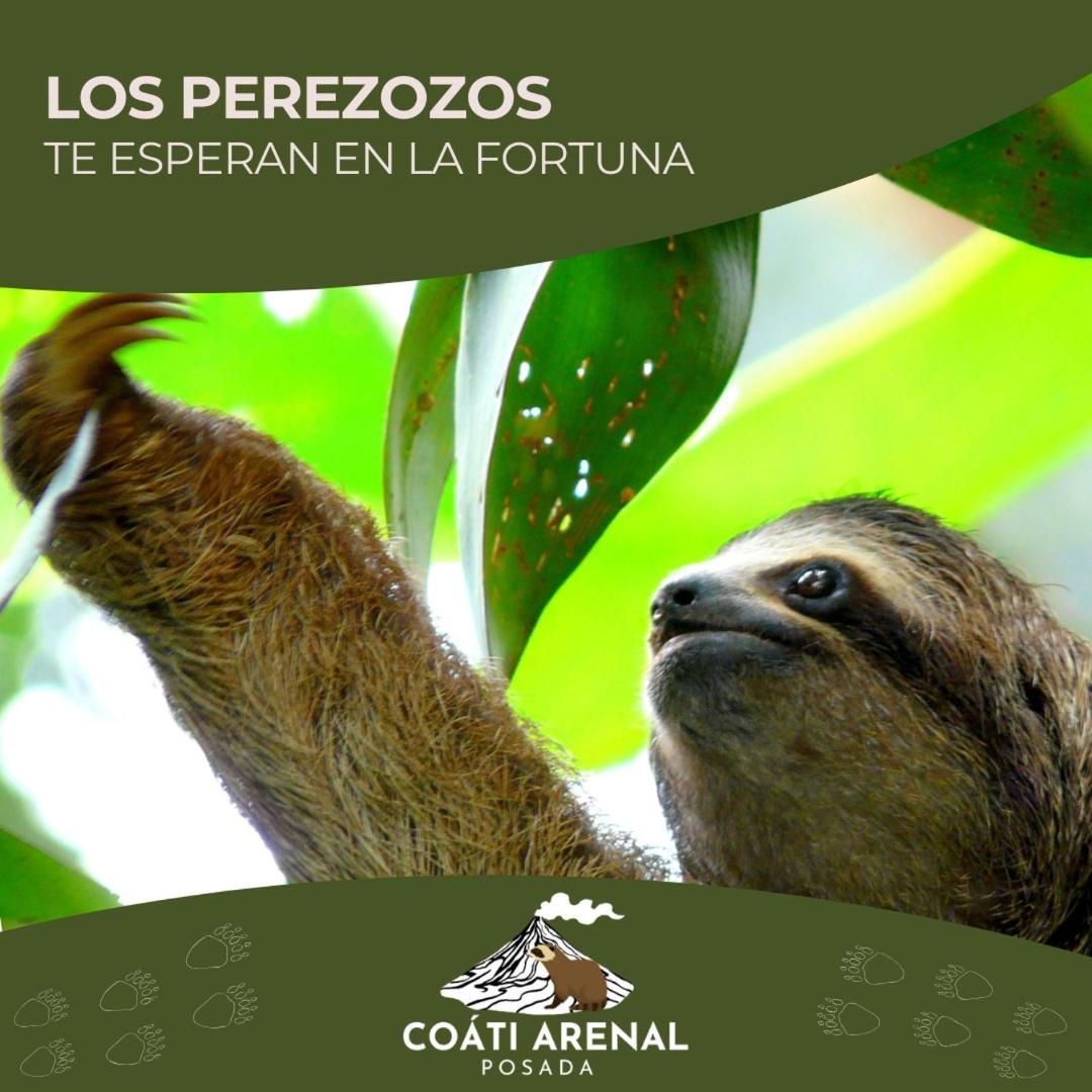 Coati Del Arenal Posada La Fortuna ภายนอก รูปภาพ