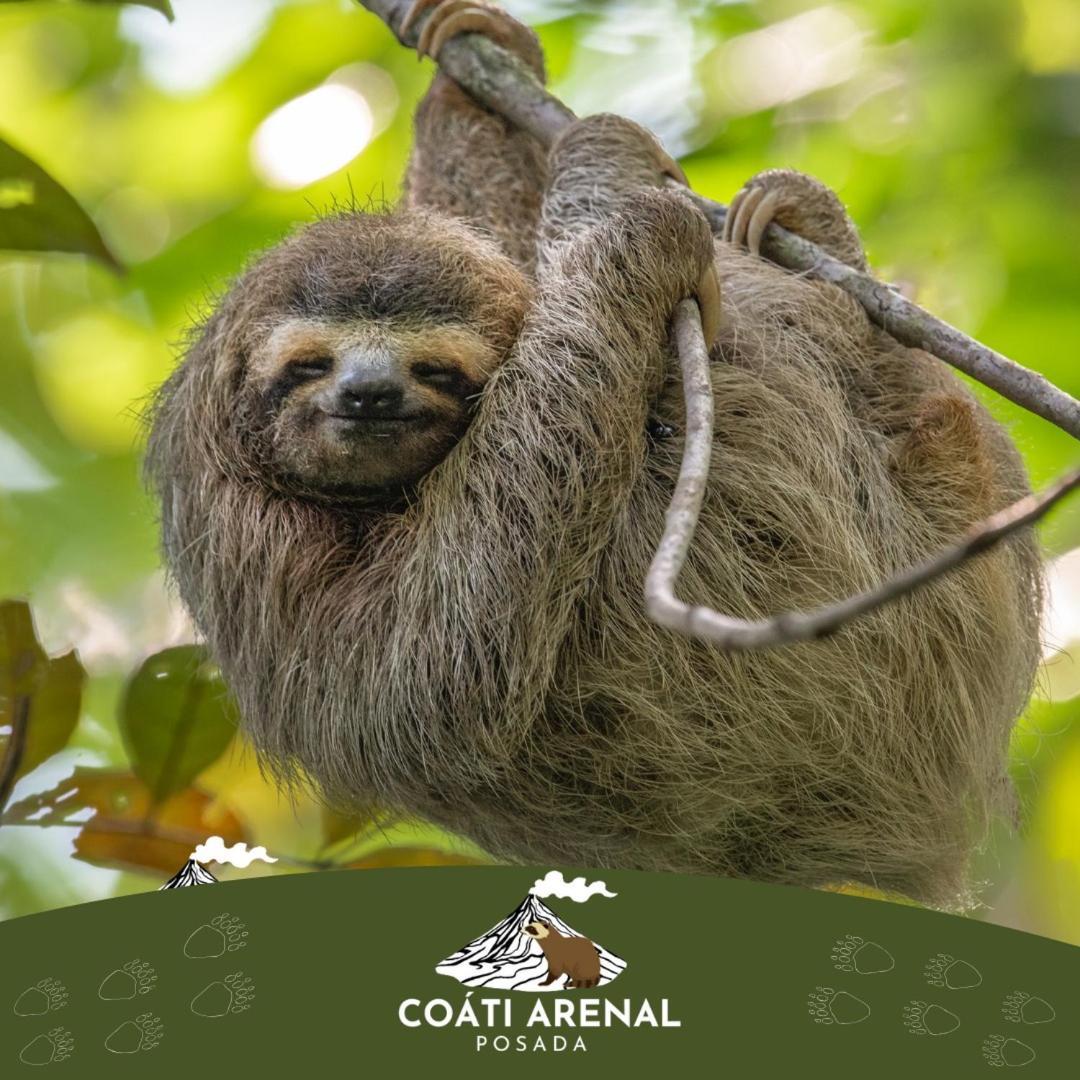 Coati Del Arenal Posada La Fortuna ภายนอก รูปภาพ
